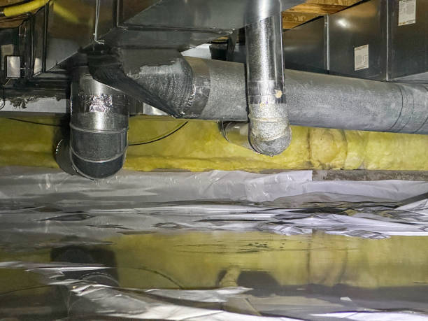 Best Water damage cleanup near me  in Mendota, IL