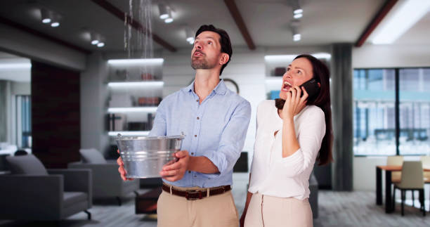 Best Water damage contractors near me  in Mendota, IL
